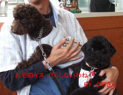 2006_0611クロさんと0029b.JPG