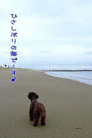 2007_0830夏休み0053a.JPG