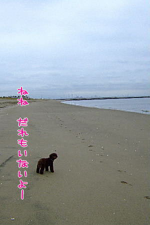 2007_0830夏休み0052a.JPG