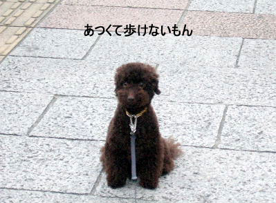 2006_07090036a コピー.JPG
