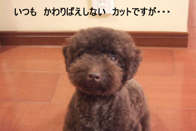 2006_07090021 コピー.JPG