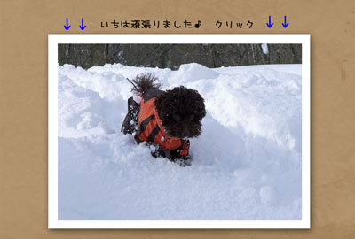 動画表紙２.jpg