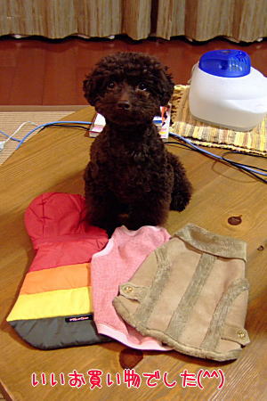 2008_0105omotesando0017a.JPG