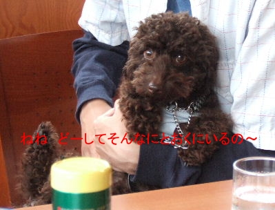 2006_0611クロさんと0024ｃ.JPG