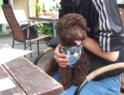 2006_06250086a.JPG