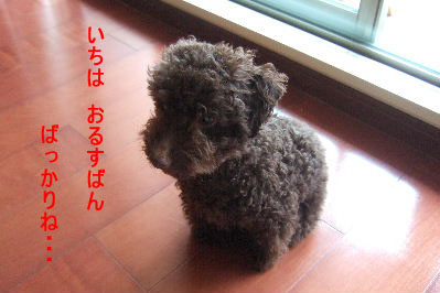 2006_08050011 コピー.JPG