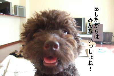2006_08050018 コピー.JPG