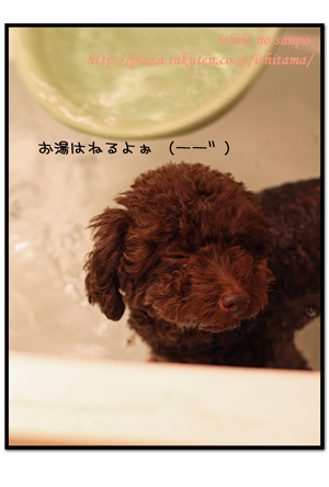 にんにく風呂４.jpg