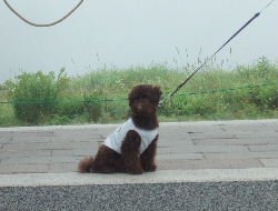 2006_0809車山旅行0051a.JPG