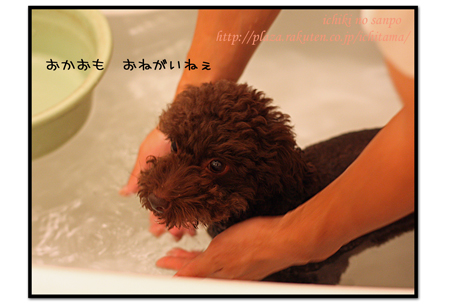 にんにく風呂２.jpg