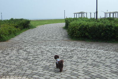 2006_0819しぶごえ館山0011a.JPG