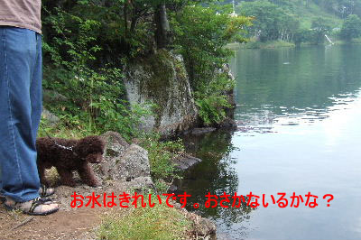2006_0809車山旅行0020a コピー.JPG