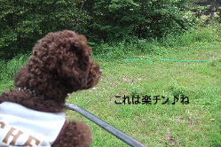2006_0809車山旅行0060 コピー.JPG