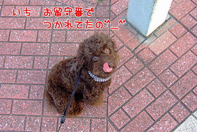 さんぽ１１.jpg