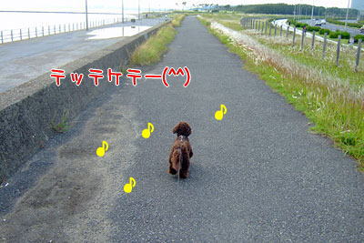 さんぽ８.jpg