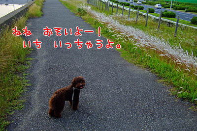 さんぽ９.jpg