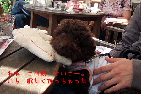 2007_0504GW0072a コピー.JPG