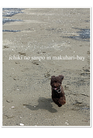 umi1.jpg
