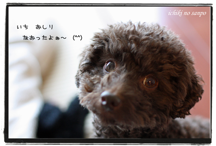 冬５.jpg
