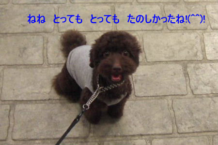 2006_08140133c コピー.JPG
