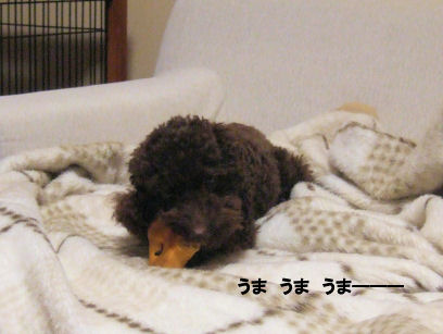 2006_0607お誕生日0019A.jpg