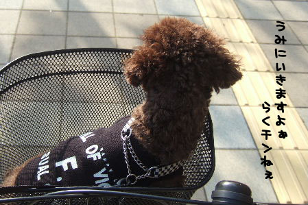 2006_12240015a コピー.JPG