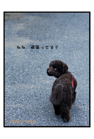 充電４.jpg