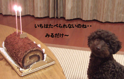 2006_0607お誕生日0028A.jpg