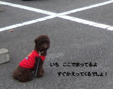 2006_0514母の日0032 (2).JPG