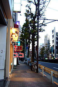 2008_0105omotesando0006a.JPG