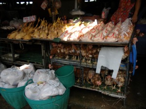 クロントイ市場の鶏肉屋