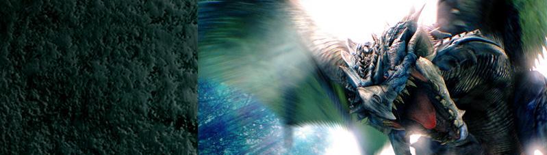 ～雑魚ハンター戦記～