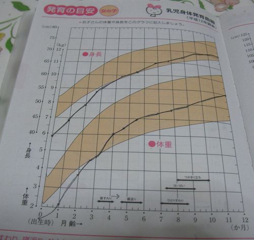 子供の一年間の成長の記録 １３３８グラム ９０００グラム ると小屋 ﾟ ﾟ 楽天ブログ