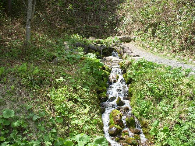 岩誦坊の湧水 | けこぜの寄り道 - 楽天ブログ