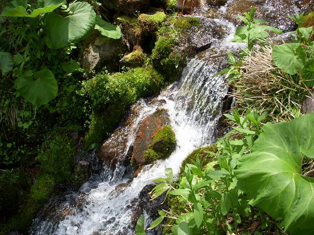 岩誦坊の湧水 | けこぜの寄り道 - 楽天ブログ