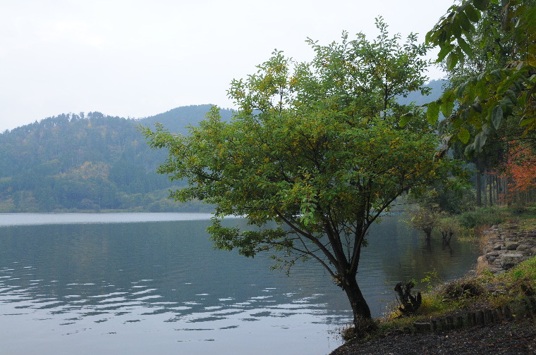 pict0008.jpg