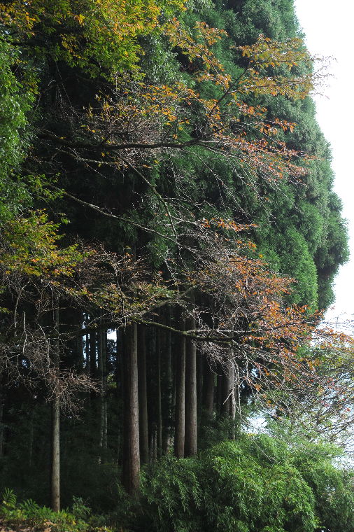 pict0033.jpg