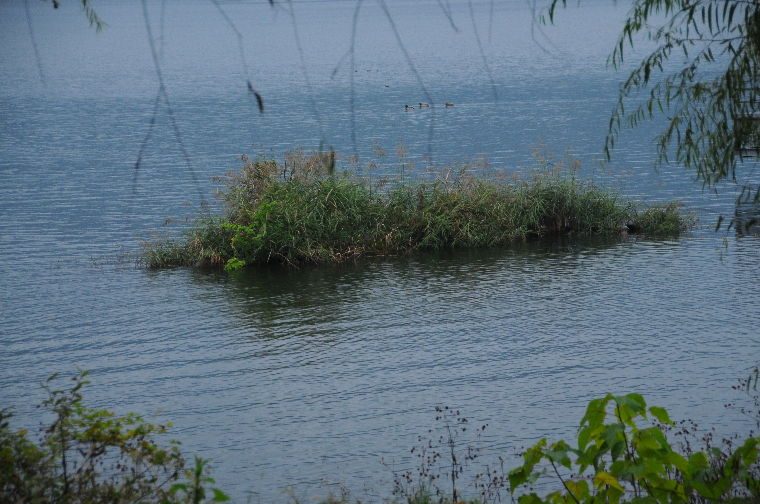 pict0007.jpg
