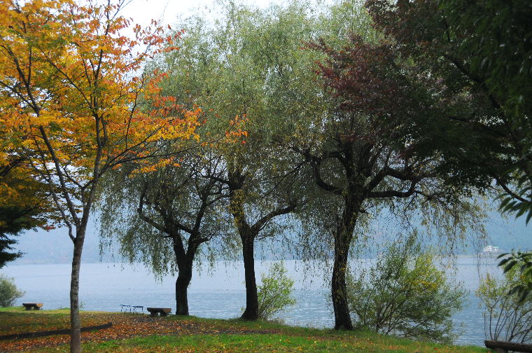 pict0031.jpg