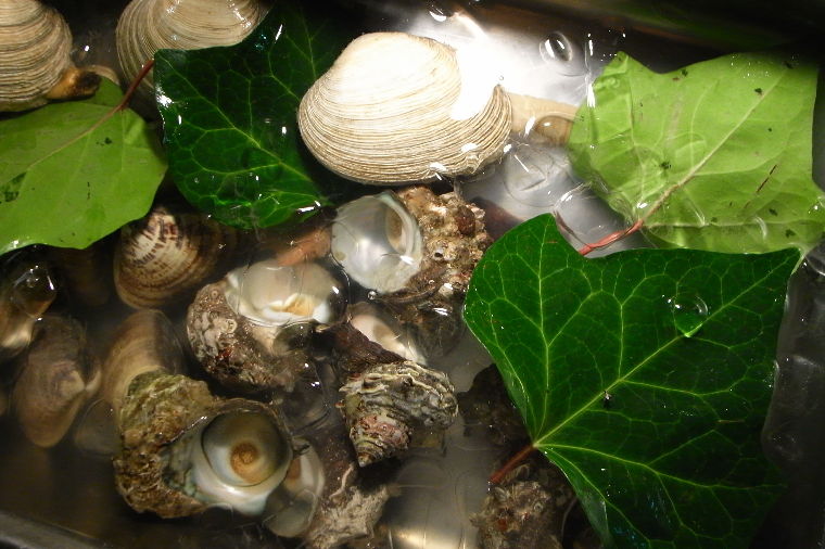 pict0059.jpg