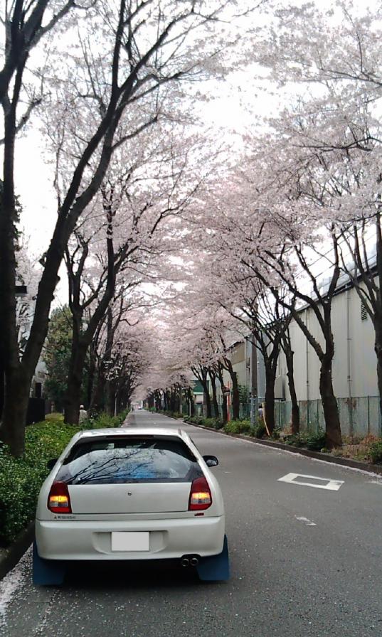 20110410105151.jpg