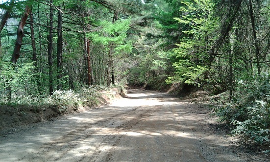 20110515123204.jpg