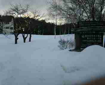 去年の雪