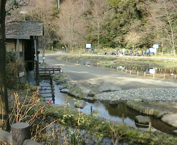 20070113144650.jpg
