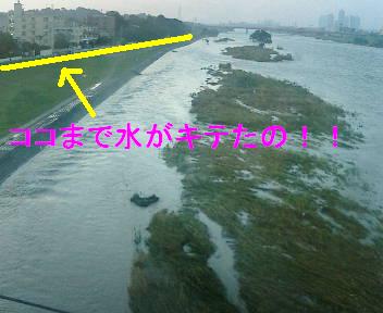 ココまで水がキテたの！！.JPG