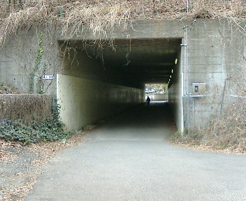 20070113145143.jpg