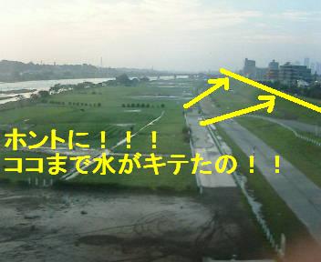 ホントニここまで水がキテたの！！.JPG