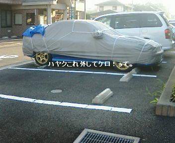ハヤクこれ外してケロ！.JPG