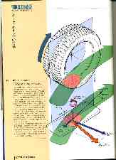 ３