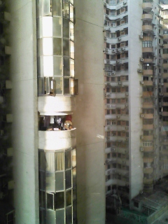 img329.jpg
